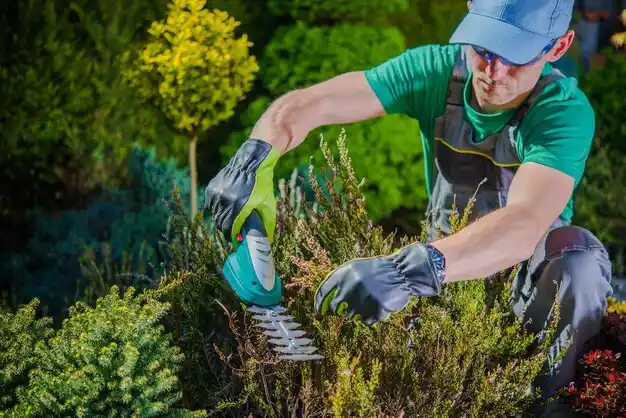 landscaping services Great Neck Estates
